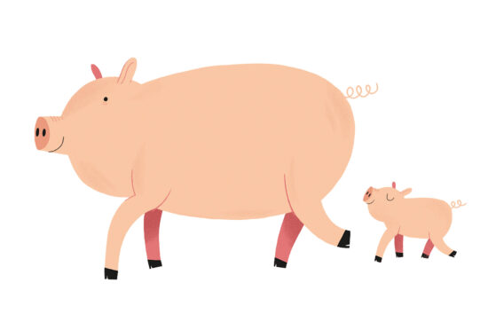 Cochons -Mila Editions
