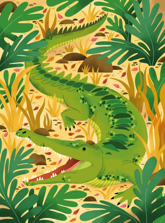 Mila - crocodile.jpg